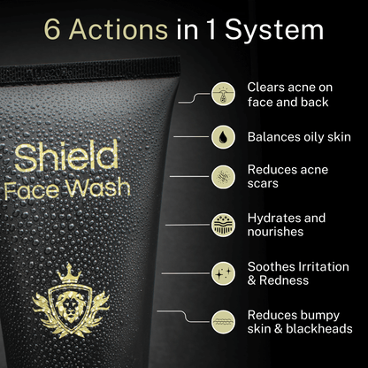 Shield System System