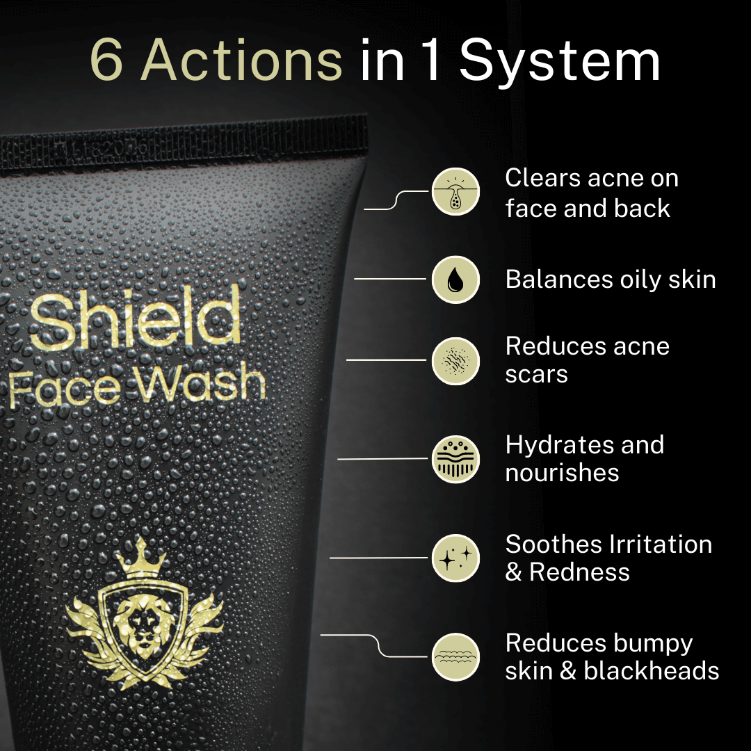 Shield System System